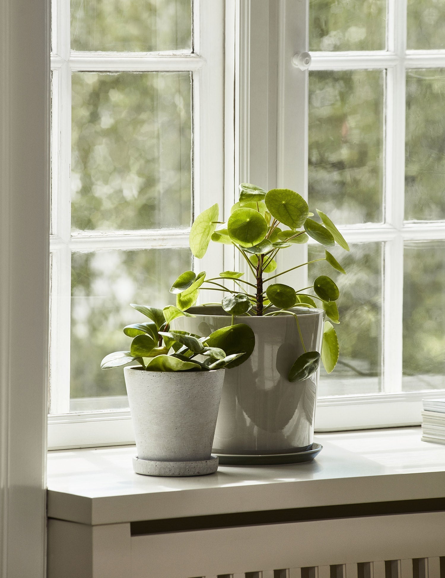 Flowerpot with Saucer