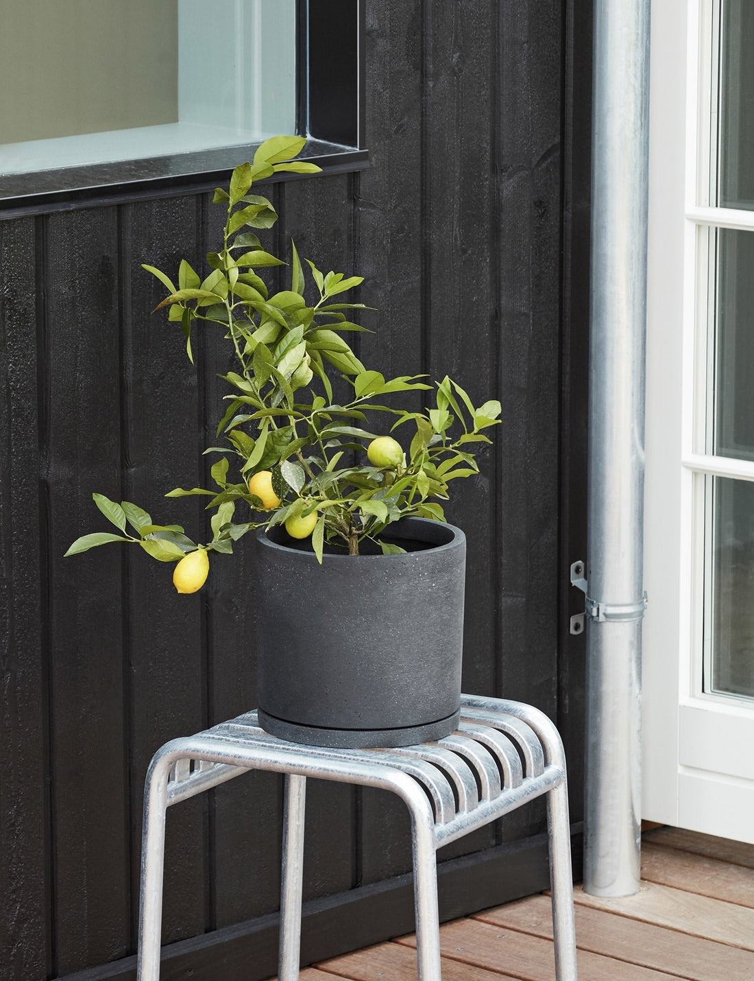 Plant Pot with Saucer